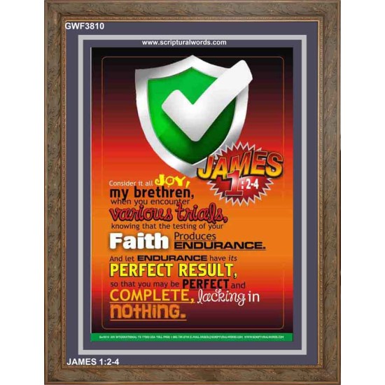 VARIOUS TRIALS   Bible Verse Frame Online   (GWF3810)   