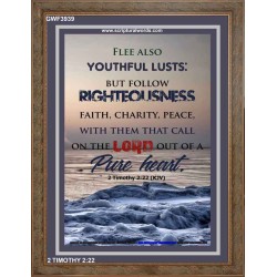 YOUTHFUL LUSTS   Bible Verses to Encourage  frame   (GWF3939)   