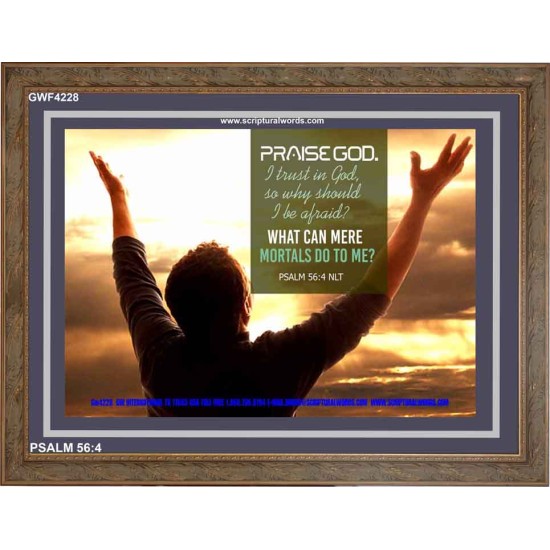 TRUST IN GOD   Framed Bible Verse   (GWF4228)   