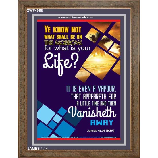 WHAT IS YOUR LIFE   Framed Bible Verses   (GWF4958)   