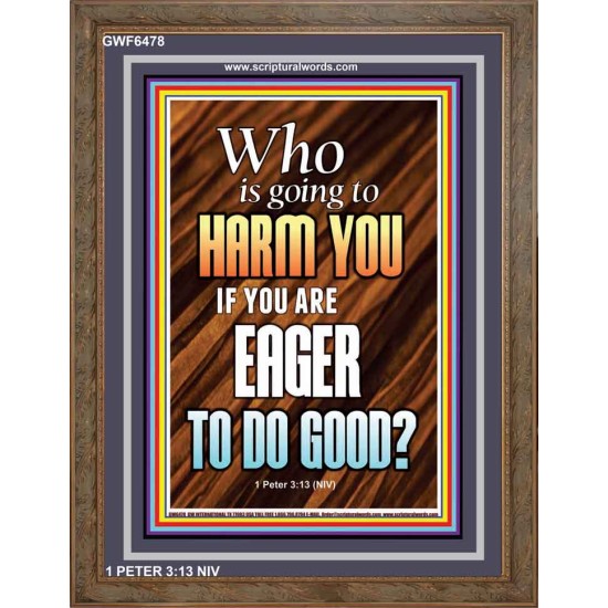 WHO IS GOING TO HARM YOU   Frame Bible Verse   (GWF6478)   