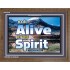 ALIVE BY THE SPIRIT   Framed Guest Room Wall Decoration   (GWF6736)   "45x33"