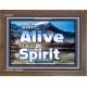 ALIVE BY THE SPIRIT   Framed Guest Room Wall Decoration   (GWF6736)   