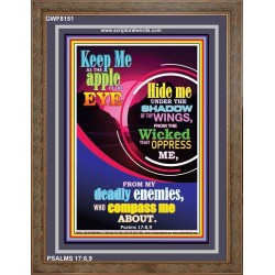 UNDER THE SHADOW OF THY WINGS   Scriptural Portrait Acrylic Glass Frame   (GWF8151)   "33x45"