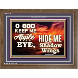 UNDER THE SHADOW OF THY WINGS   Frame Scriptural Wall Art   (GWF8275)   "45x33"