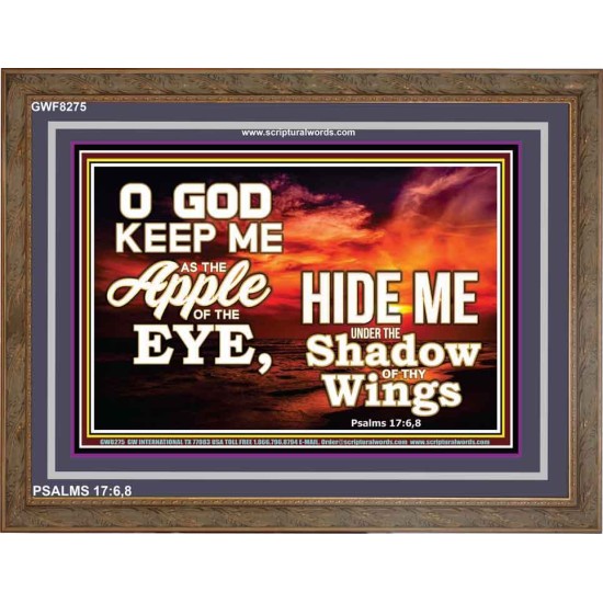 UNDER THE SHADOW OF THY WINGS   Frame Scriptural Wall Art   (GWF8275)   