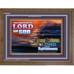 ADONAI TZIDKEINU - LORD OUR RIGHTEOUSNESS   Christian Quote Frame   (GWF8653L)   