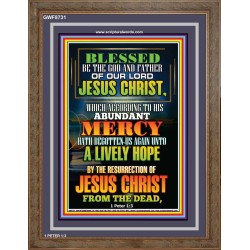 ABUNDANT MERCY   Scripture Wood Frame Signs   (GWF8731)   "33x45"
