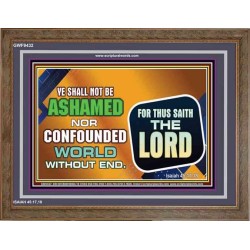 YOU SHALL NOT BE SHAME   Encouraging Bible Verses Frame   (GWF9432)   