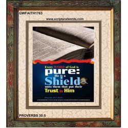 TRUST IN HIM   Scripture Art Frame   (GWFAITH1763)   "16x18"