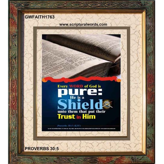 TRUST IN HIM   Scripture Art Frame   (GWFAITH1763)   