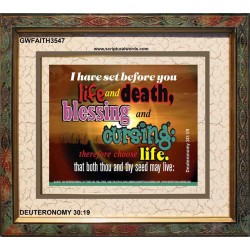 SET BEFORE YOU LIFE AND DEATH   Bible Verse Framed Art   (GWFAITH3547)   
