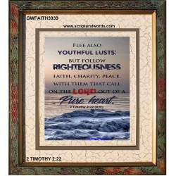 YOUTHFUL LUSTS   Bible Verses to Encourage  frame   (GWFAITH3939)   "16x18"