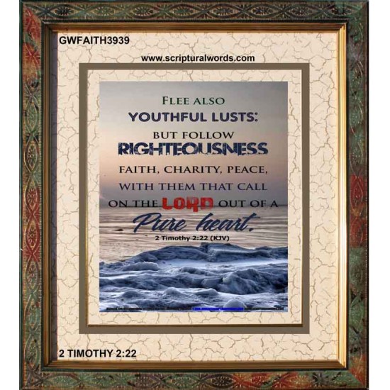 YOUTHFUL LUSTS   Bible Verses to Encourage  frame   (GWFAITH3939)   