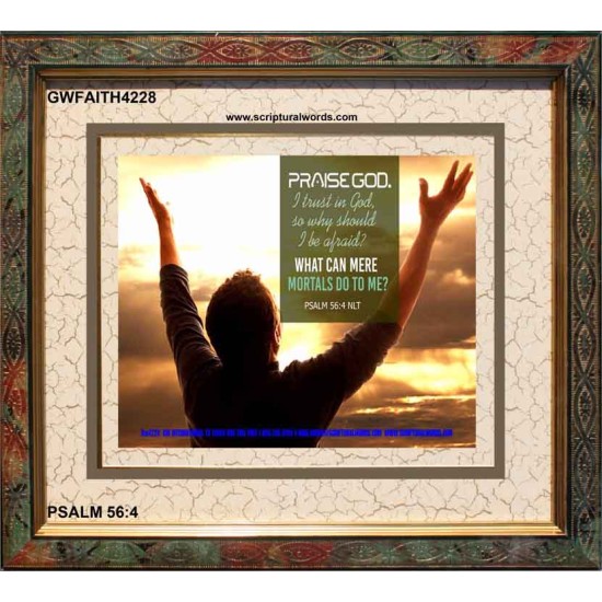 TRUST IN GOD   Framed Bible Verse   (GWFAITH4228)   