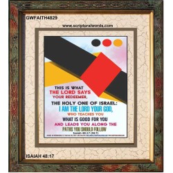 WHAT IS GOOD FOR YOU   Bible Verse Frame   (GWFAITH4829)   "16x18"