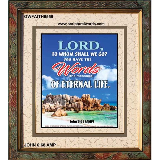 WORDS OF ETERNAL LIFE   Biblical Art Acrylic Glass Frame    (GWFAITH6559)   