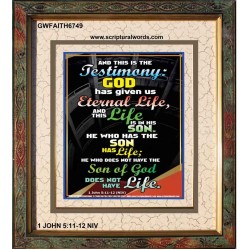 THE TESTIMONY GOD HAS GIVEN US   Christian Framed Wall Art   (GWFAITH6749)   