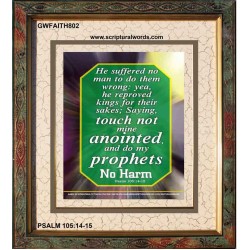 TOUCH NOT MINE ANOINTED   Bible Verse Wall Art Frame   (GWFAITH802)   "16x18"