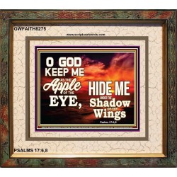 UNDER THE SHADOW OF THY WINGS   Frame Scriptural Wall Art   (GWFAITH8275)   "18x16"