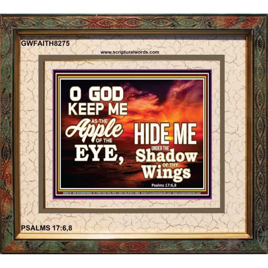 UNDER THE SHADOW OF THY WINGS   Frame Scriptural Wall Art   (GWFAITH8275)   