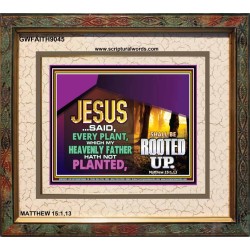 WHAT GOD HAS NOT PLANTED   Scriptural Art   (GWFAITH9045)   "18x16"