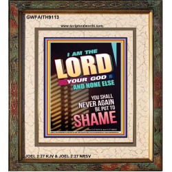 YOU SHALL NOT BE PUT TO SHAME   Bible Verse Frame for Home   (GWFAITH9113)   