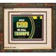 WITH GOD WE WILL TRIUMPH   Large Frame Scriptural Wall Art   (GWFAITH9382)   