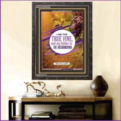 THE TRUE VINE   Inspiration Wall Art Frame   (GWFAVOUR5353)   