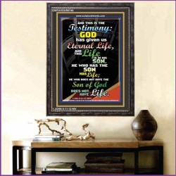 THE TESTIMONY GOD HAS GIVEN US   Christian Framed Wall Art   (GWFAVOUR6749)   