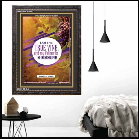THE TRUE VINE   Inspiration Wall Art Frame   (GWFAVOUR5353)   