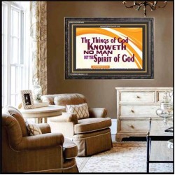 SPIRIT OF GOD   Framed Picture   (GWFAVOUR5465)   