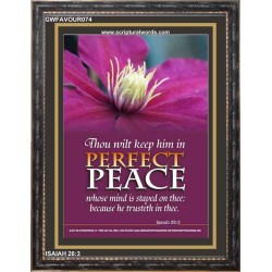 PERFECT PEACE   Scripture Wooden Frame Signs   (GWFAVOUR074)   