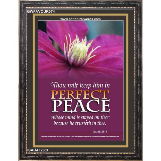 PERFECT PEACE   Scripture Wooden Frame Signs   (GWFAVOUR074)   