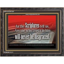 ANYONE WHO TRUSTS IN HIM   Custom Frame Scriptural ArtWork   (GWFAVOUR1297)   