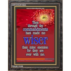 WISER THAN MINE ENEMIES   Scriptural Portrait Wooden Frame   (GWFAVOUR1590A)   "33x45"