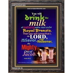THE MIGHTY ONE OF JACOB   Large Framed Scripture Wall Art   (GWFAVOUR1683)   