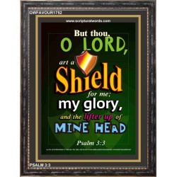 A SHIELD FOR ME   Bible Verses For the Kids Frame    (GWFAVOUR1752)   "33x45"
