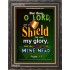 A SHIELD FOR ME   Bible Verses For the Kids Frame    (GWFAVOUR1752)   "33x45"