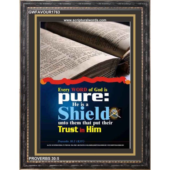 TRUST IN HIM   Scripture Art Frame   (GWFAVOUR1763)   