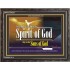 SPIRIT OF GOD   Scriptural Art   (GWFAVOUR280)   "45x33"