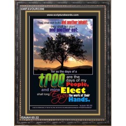 MINE ELECT   Custom Framed Bible Verses   (GWFAVOUR3390)   