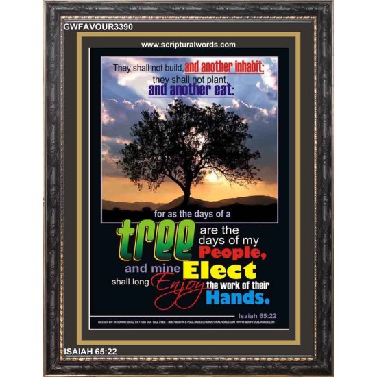 MINE ELECT   Custom Framed Bible Verses   (GWFAVOUR3390)   