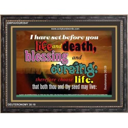 SET BEFORE YOU LIFE AND DEATH   Bible Verse Framed Art   (GWFAVOUR3547)   