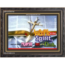 WALK IN THE SPIRIT   Framed Bible Verse   (GWFAVOUR3720)   "45x33"