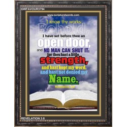 OPEN DOOR   Large Framed Scriptural Wall Art   (GWFAVOUR3794)   