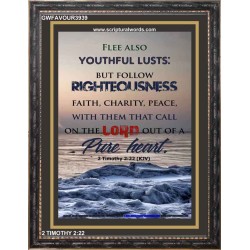 YOUTHFUL LUSTS   Bible Verses to Encourage  frame   (GWFAVOUR3939)   "33x45"