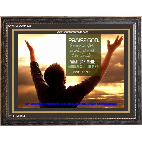 TRUST IN GOD   Framed Bible Verse   (GWFAVOUR4228)   