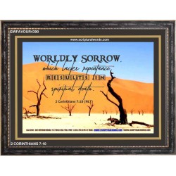 WORDLY SORROW   Custom Frame Scriptural ArtWork   (GWFAVOUR4390)   "45x33"