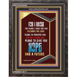 THE PLANS I HAVE FOR YOU   Inspiration Frame   (GWFAVOUR4548)   